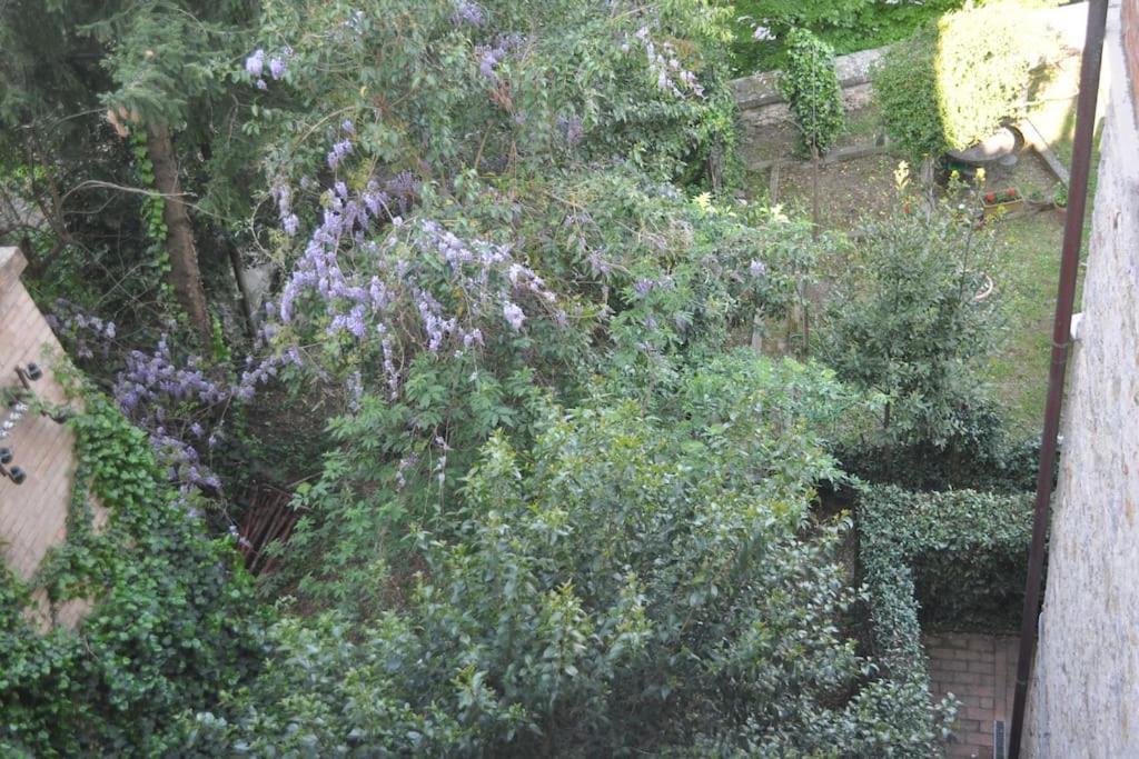 Il Profumo Del Lauro Apartment Perugia Luaran gambar