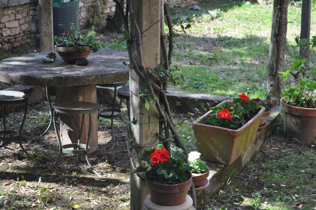 Il Profumo Del Lauro Apartment Perugia Luaran gambar
